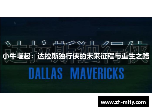 小牛崛起：达拉斯独行侠的未来征程与重生之路