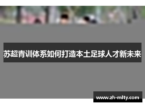 苏超青训体系如何打造本土足球人才新未来